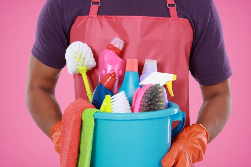Professional cleaner in SW8 providing home cleaning services