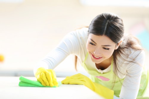 Upholstery cleaning service in SW8 treating sofa stains
