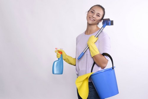 Deep carpet cleaning equipment used in SW8 property