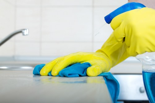 Professional domestic cleaning in SW8 in a modern kitchen