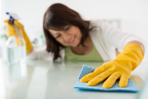 Final terms and conditions page for carpet cleaning services