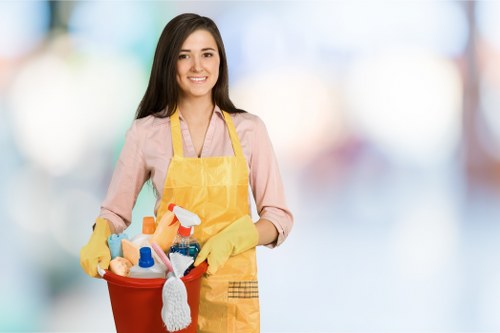 Professional carpet cleaning appointment confirmation and setup