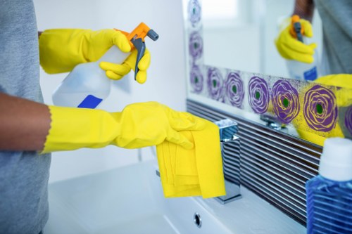 Domestic cleaning in SW8 with kitchen and surface sanitizing