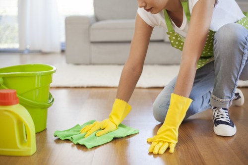 Deep oven cleaning service in SW8 removing grease and grime